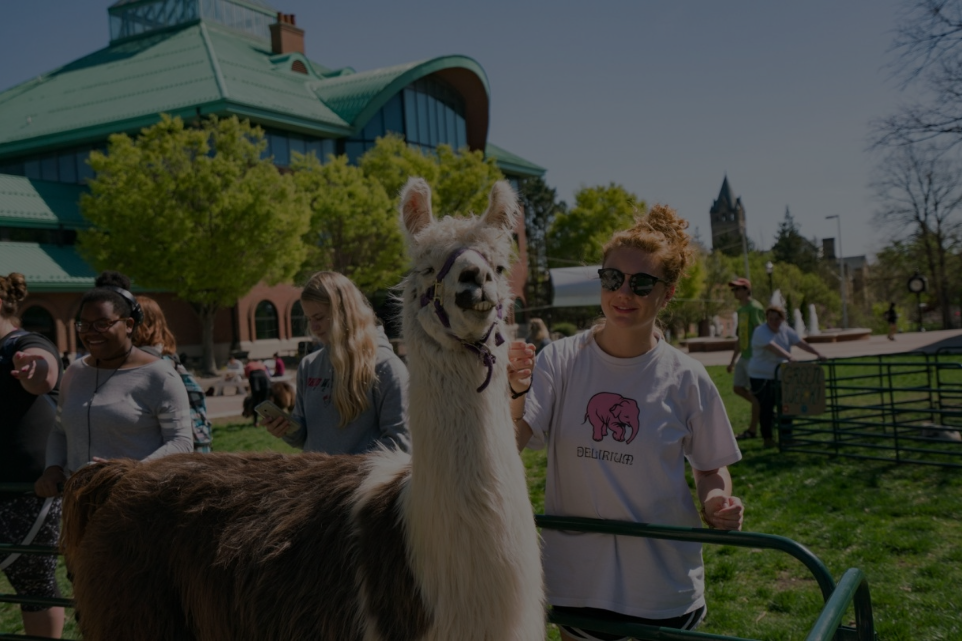 Student with alpaca